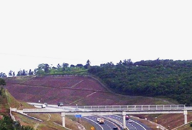 function toString() { [native code] }